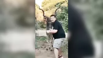WCGW Trying To Treat Wild Animals As Pets R What Could Go Wrong