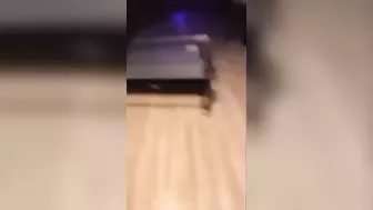 Wcgw Jumped Onto The Ping Pong Table Whatcouldgowrong