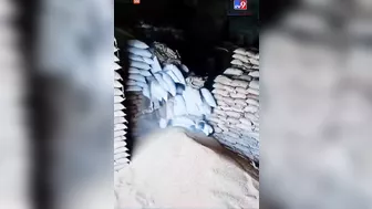 Crazy Video Shows A Wall Made Of Grain Sacks Collapse And Kill A Man