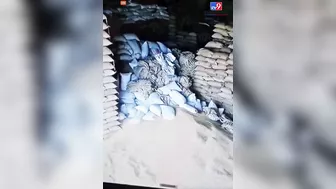 Crazy Video Shows A Wall Made Of Grain Sacks Collapse And Kill A Man
