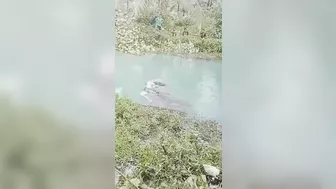 Woman Caught And Killed By Crocodile For Lunch