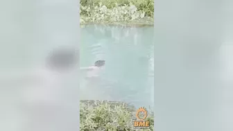 Woman Caught And Killed By Crocodile For Lunch