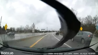 Oc Subaru Cannot Decide Or Use The Correct Signal