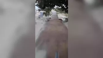 Standing In The Middle Of The Bike Lane