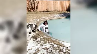 Stepping Onto A Frozen Pool