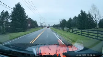 White-bordered Stop Signs Are Optional