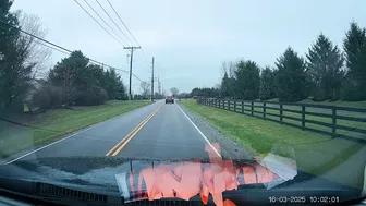 White-bordered Stop Signs Are Optional